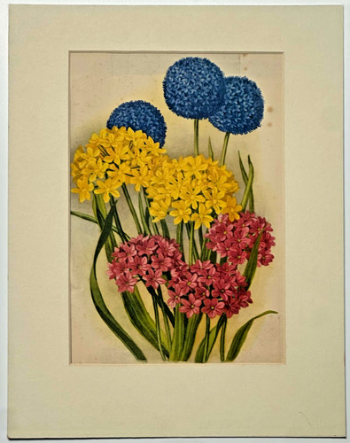 Vintage botanischer