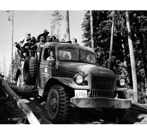 1949 forest service truck - us,