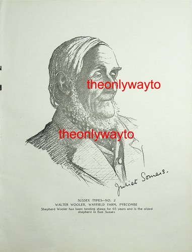 Walter wooler shepherd - walter,