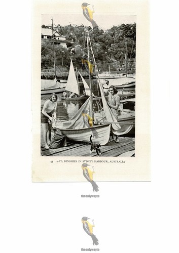 Schlauchboote hafen - (12,