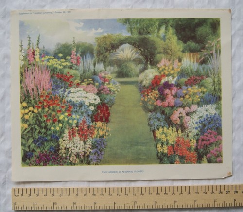 Amateur gartenarbeit - amateur,