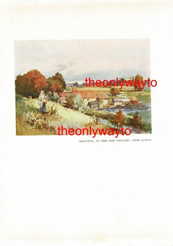 Isington hopfenland bei - hopfenland,