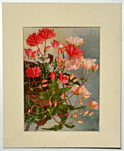 Vintage botanischer - vintage,