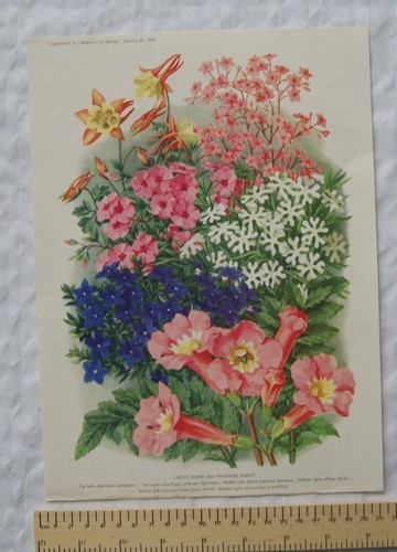 1940 amateur gartenarbeit - 1940,