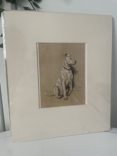 Cecil aldin bullterrier hund - aldin,