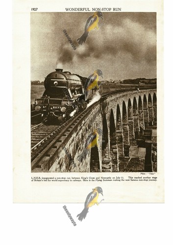 Flying scotsman non - non-stop, run