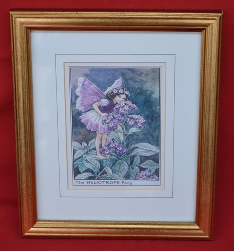 Blumenfeen die heliotropfee - blumenfeen:,