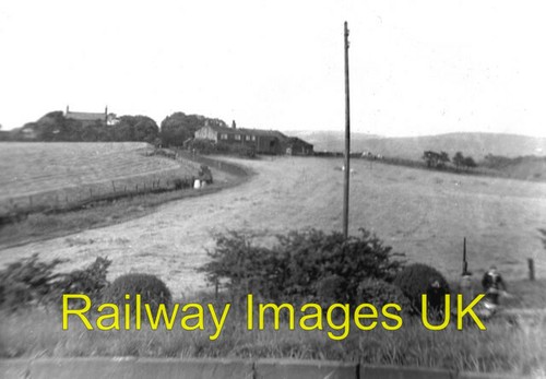 Foto buckley hill farm - foto,