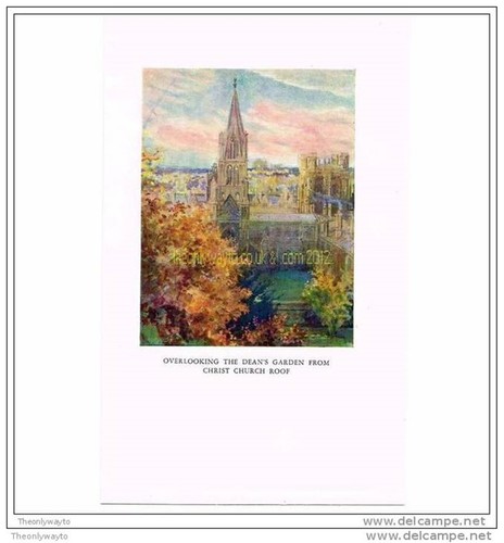 überblick deans garten vom - Überblick,