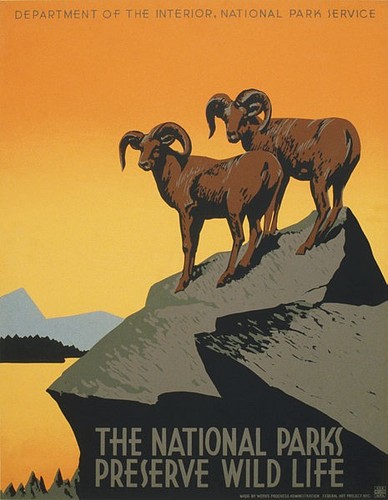 Nationalpark 40 cm - x,